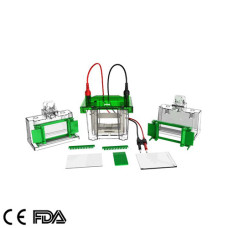 Mini Vertical Electrophoresis Tank 700 ML GEP-VH-1 Infitek USA