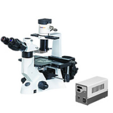 Inverted Fluorescence Microscope Trinocular Head 40x to 400x LZ-IFM-A100 Labozon USA